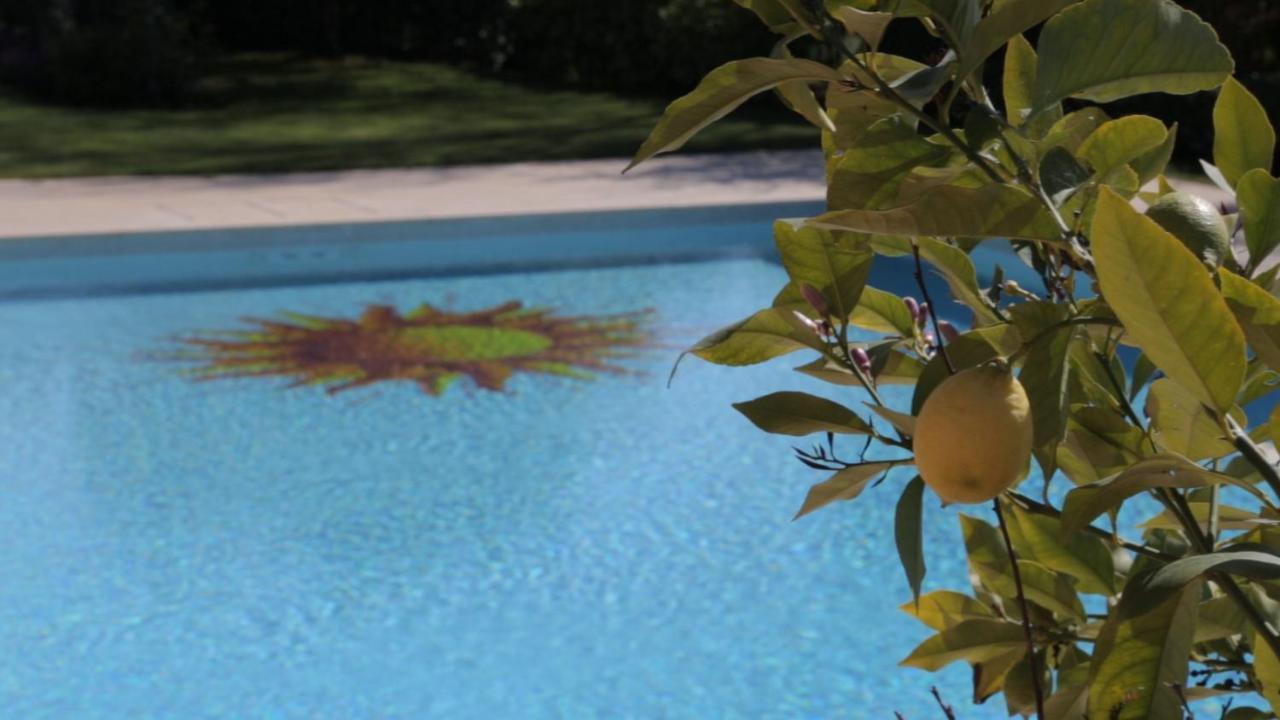 Corte Delle Cicale Bed & Breakfast Bardolino Экстерьер фото